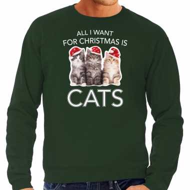 Kitten foute kersttrui / outfit all i want for christmas is cats groen voor heren