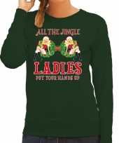 Foute foute kersttrui sweater single jingle ladies groen dames